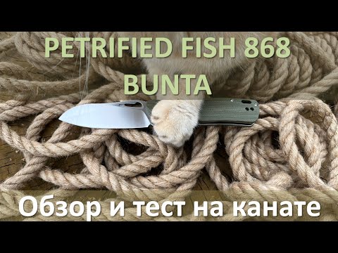 Видео: Petrified Fish 868 Обзор и тест на канате