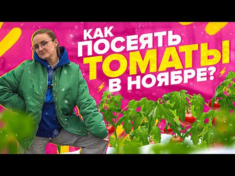 Видео: СЕЕМ ТОМАТЫ под ЗИМУ ТАК! ПОДРОБНАЯ ИНСТРУКЦИЯ