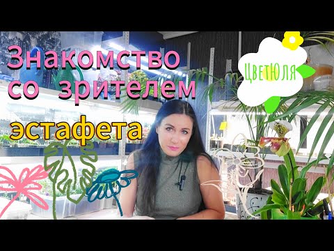 Видео: Знакомство с вами. Эстафета блогеров