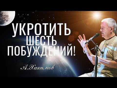 Видео: Укротить шесть побуждений чтобы увидеть душу! Александр Хакимов.