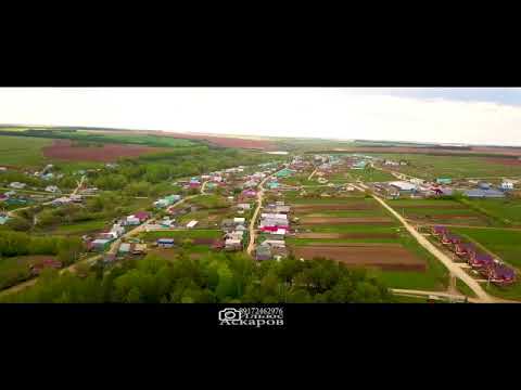 Видео: Наласа