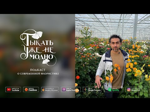Видео: Дмитрий Туркан: Цветочное бюро, Азбука флориста и взгляд в будущее ТУНМ #041