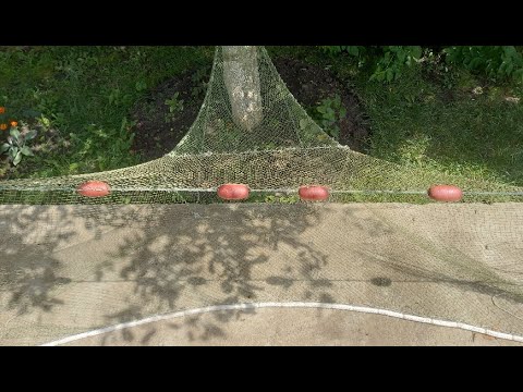 Видео: Самый маленький бредень с мотнёй.