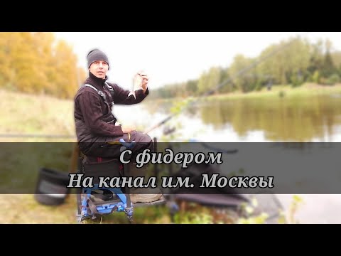 Видео: С фидером на канале имени Москвы