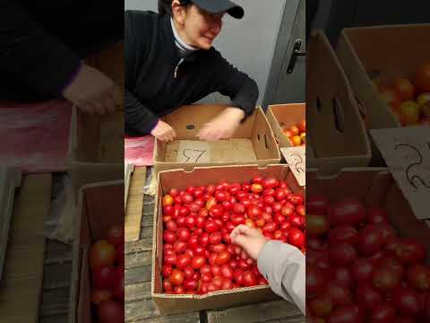 Видео: Наконец то я их купил, что буду закрывать? Цены на рынке 10.10.25г