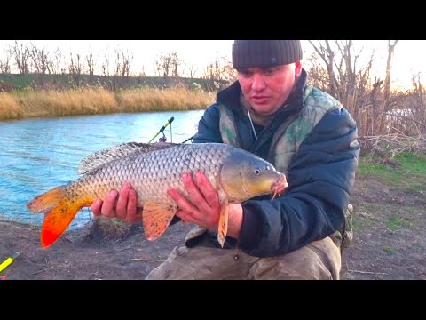 Видео: БЕШЕНЫЙ КЛЕВ НА ТЕПЛОМ КАНАЛЕ !!!