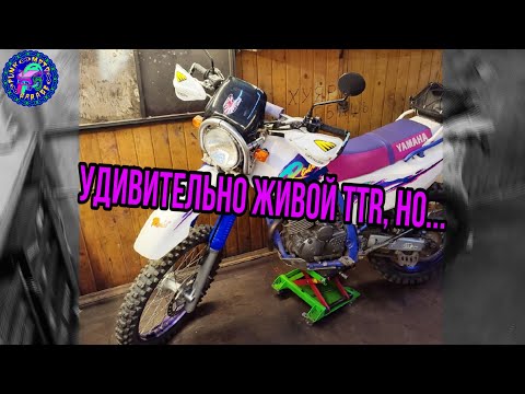Видео: Лучший TTR 250 RAID С АУКЦИОНА,что мы делали. НО ВСЕ РАВНО НУЖНО ОБСЛУЖИВАТЬ!И МНОГО ОБСЛУЖИВАТЬ!!!