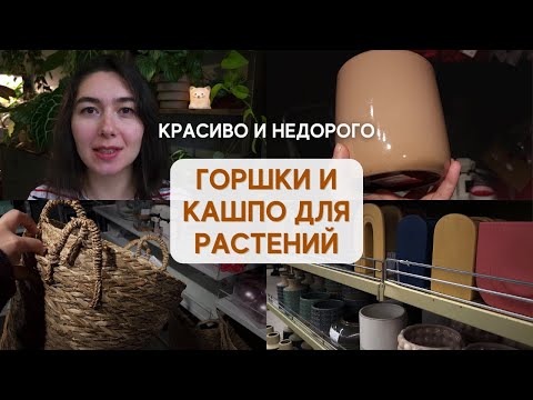 Видео: В поисках БЮДЖЕТНЫХ кашпо и ГОРШКОВ для РАСТЕНИЙ | SINSAY, Leroy Merlin, FAMILIA, Максидом