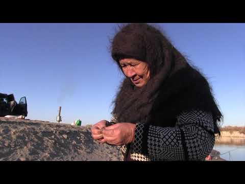 Видео: Сырдария Балықшы Апа