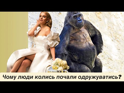 Видео: Еволюція партнерства: Шлюб на межі краху?