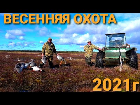Видео: 🏕Весенняя Охота 2021г.Восемь дней живем с Батей на болоте.Такой охоты у нас еще не было.