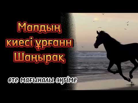 Видео: Мал киесі ұрған шаңырақ.. өте әсерлі әңгіме. Міндетті турде тыңдаңыз