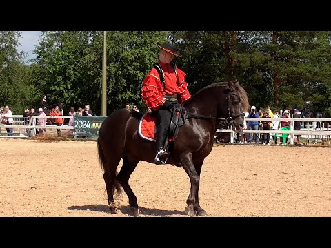 Видео: Самые известные породы лошадей. Парад пород. The most famous horse breeds. Parade of breeds.