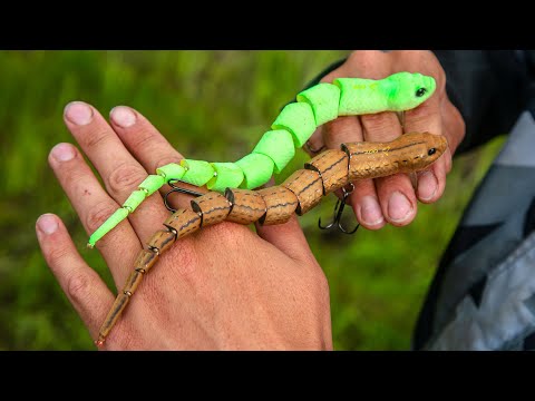 Видео: Мощные поклёвки на ЗМЕЙ крупным планом! Fishing for snakes! Креативные приманки на летнем Иртыше.