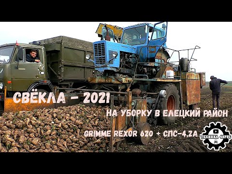 Видео: СПС-4,2 и Grimme Rexor 620. На уборку свёклы в Елецкий район. Сахарная свёкла - 2021