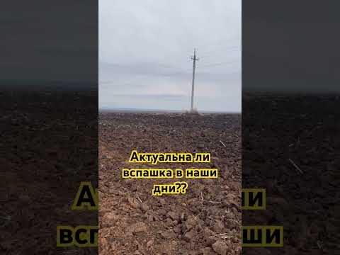 Видео: Актуальна ли вспашка в наши дни?