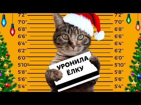 Видео: НОВОГОДНИЕ МЕМЫ от ПОДПИСЧИКОВ! СМОТРИМ ВАШИ ПРИКОЛЫ!