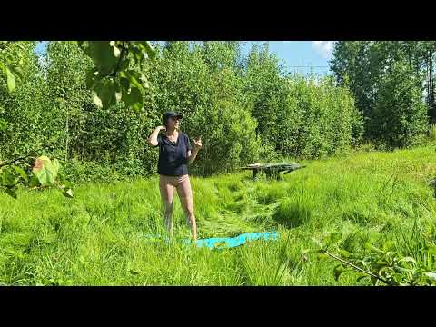 Видео: Урок 4. ПОЗВОНОЧНИК. ВОЛНА. Курс "Включение" 