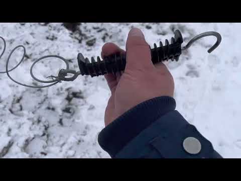 Видео: Кобылы, жеребцы и жеребята тяжеловозы. Советские, бельгийские и першероны.