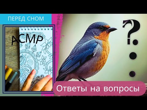 Видео: Ответы на вопросы / мягкий голос / отдых перед сном / раскраска асмр