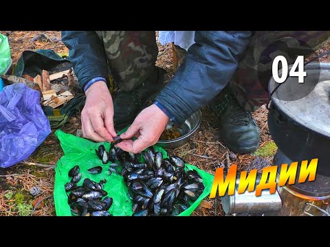 Видео: #04 Мидии - Чупинская кругосветка 2025