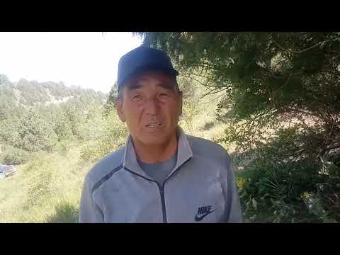 Видео: Кайнар-Булак эс алуу жайы.