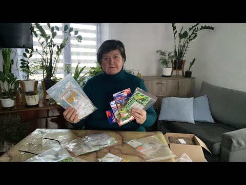 Видео: НАСІННЯ // що висіватиму цього року.