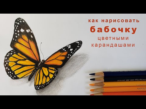 Видео: как нарисовать бабочку how to draw a butterfly как нарисовать бабочку цветными карандашами
