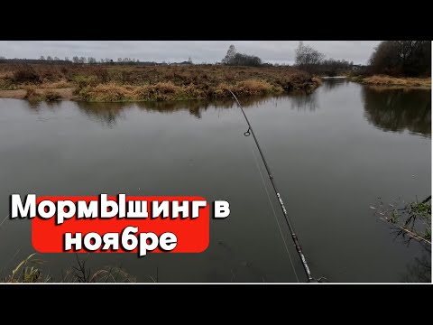 Видео: Мормышинг осенью на реке. Рыбалка в безклевье. Ноябрь 2023