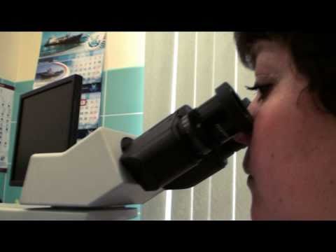 Видео: Видеогид.  11 неделя. Скрининг первого триместра