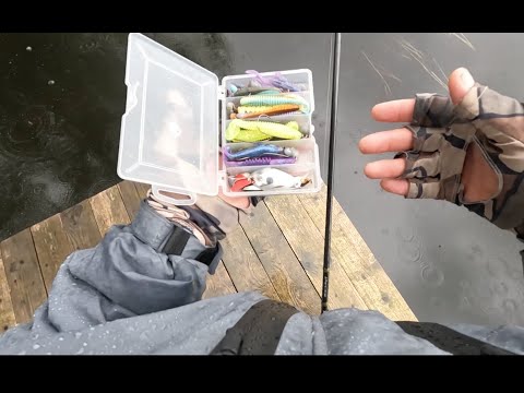 Видео: ВЕРТУШКИ, КОЛЕБАЛКИ, ВОБЛЕРЫ, ДЖИГ, такой СПИННИНГ ОСЕНЬЮ! Рыбалка с НОВЫМ ЛАЙТом, CF Strike 802LT!