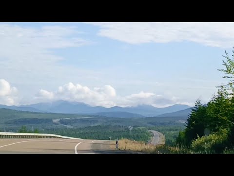 Видео: В тайгу! 1часть: На Кулу по Тенькинской трассе