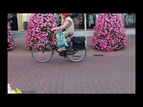 Видео: 1 октября 2025 г.