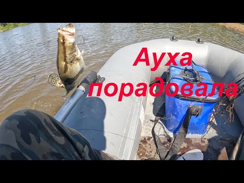 Видео: Куда пропала щука? Интересная рыбалка во время паводка. Поймали ауху.