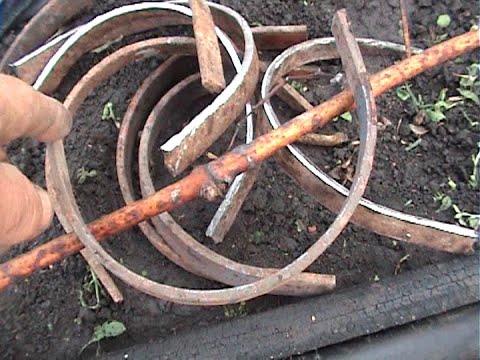 Видео: ВИНОГРАД Как согнуть вызревшую лозу для низкого штамбакордона