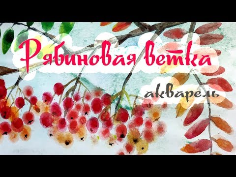 Видео: Осенняя ветка рябины. Рисование акварелью.