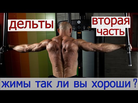 Видео: ЖИМЫ НА ДЕЛЬТЫ , ТАК ЛИ ОНИ ЭФФЕКТИВНЫ ?