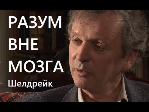 Видео: Разум вне мозга - 40 лет экспериментов / Шелдрейк