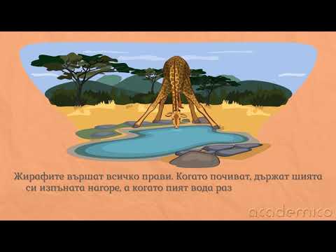Видео: Текст повествование - Български език 5 клас | academico