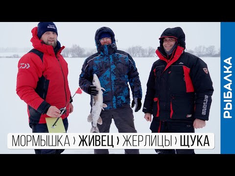 Видео: Первый раз ставим ЖЕРЛИЦЫ на щуку и ловим живца МОРМЫШКОЙ!