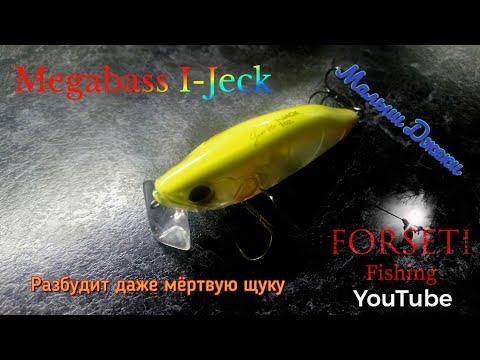 Видео: Megabass I-Jack или (малыш Джеки) разбудит даже мертвую щуку!