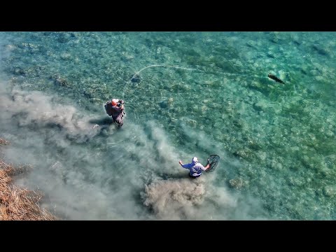 Видео: Лучшая форелевая река в мире. Рыбалка на гигантов!