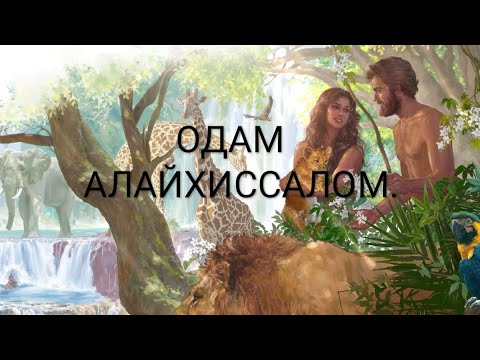 Видео: Одам Атонинг яратилиши  қиссаси.