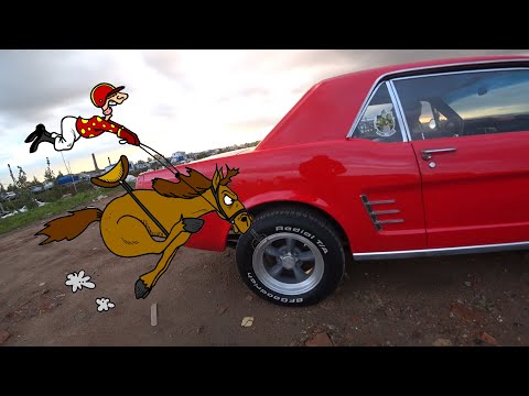 Видео: Недружелюбный пони!:)