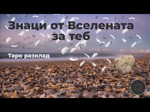 Видео: Знаци от Вселената за теб🪶🕊️💕