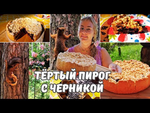Видео: Тёртый пирог с черникой.Черничный пирог.Рассыпчатое песочное тесто много начинки.Простой рецепт