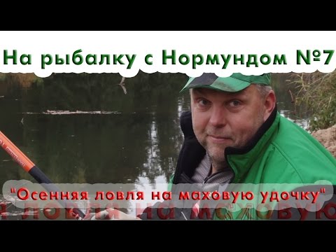 Видео: На рыбалку с Нормундом #07 : Осенняя ловля на маховую удочку