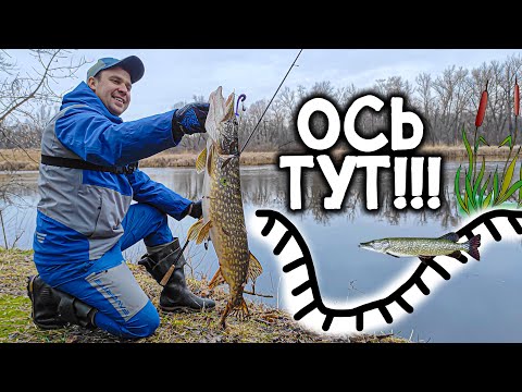 Видео: ДЕ ШУКАТИ ТРОФЕЙНУ ЩУКУ??? 🦈 Береговий зимовий спінінг, риболовля.