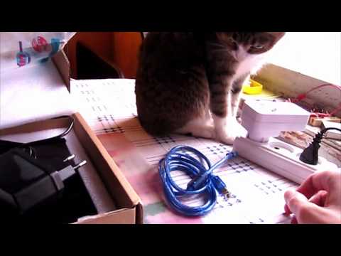 Видео: И только один Сталкер против всех. FX-Audio DAC X6.