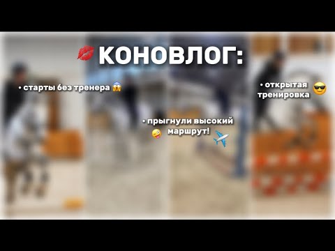 Видео: КОНОВЛОГ: предновогодняя суета на конюшне 🤫🎉